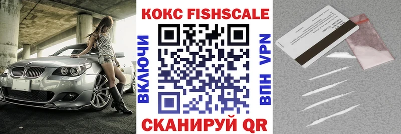ссылка на мегу ТОР  дарнет шоп  Ленск  КОКАИН FishScale 
