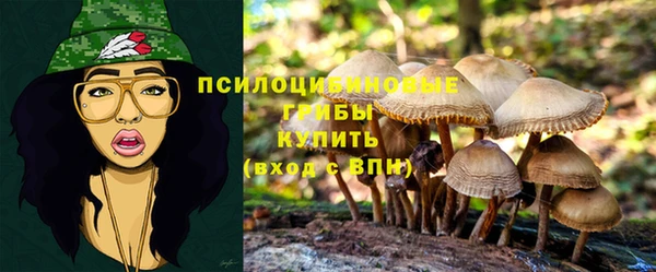 мяу мяу мука Балахна