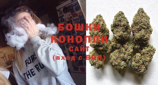 ГАЛЛЮЦИНОГЕННЫЕ ГРИБЫ Балабаново